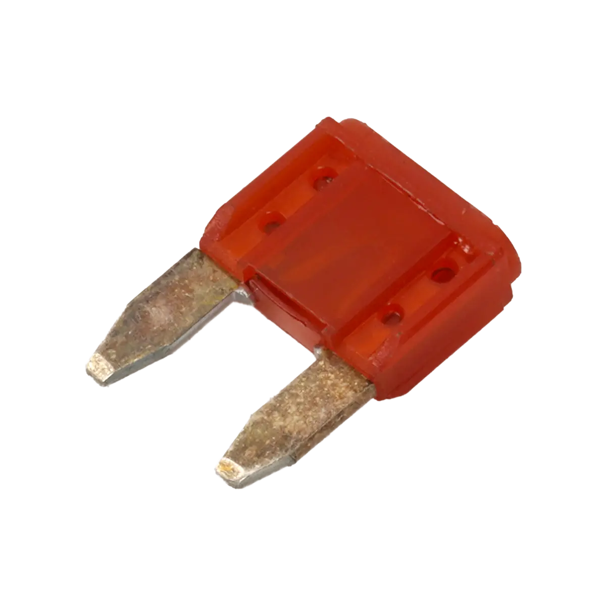 Sany Fuse (10 Amp) 60215506 1