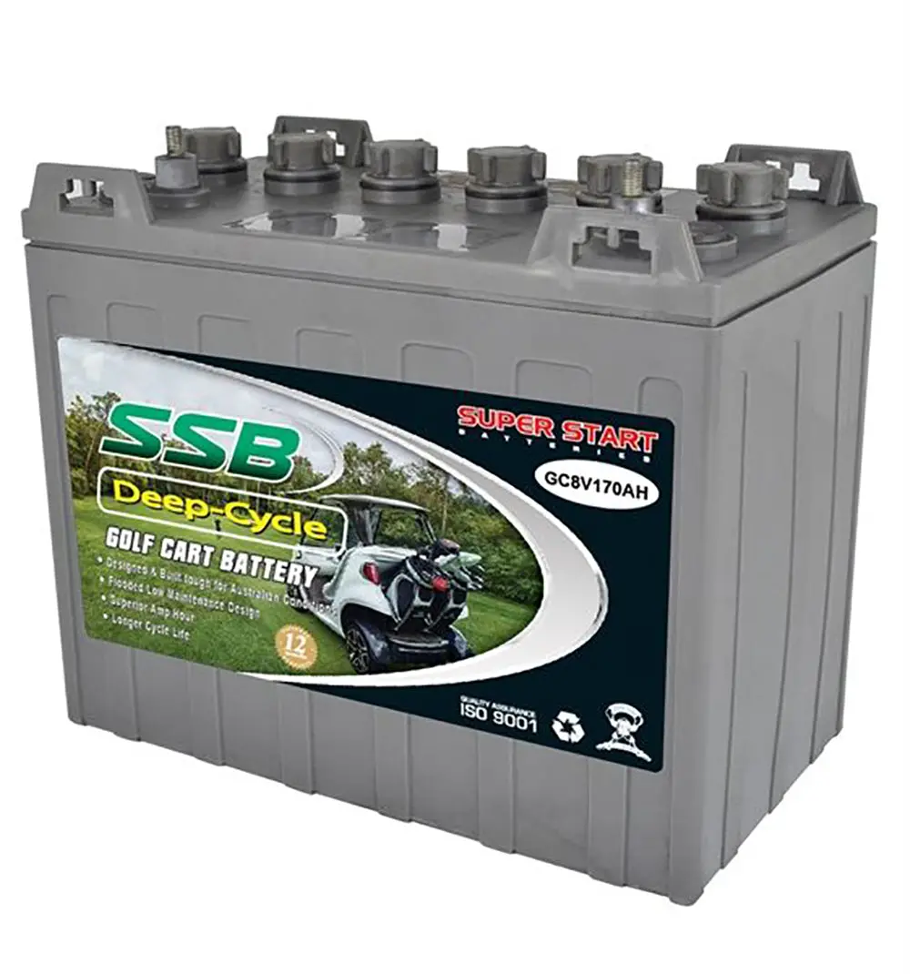 Gc8v170ah 8V Flooded Battery 1