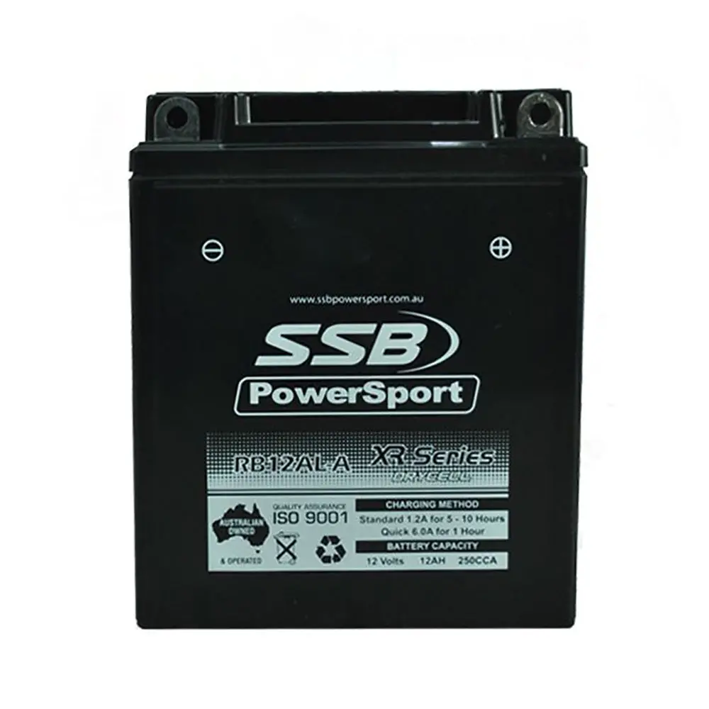 Rb12al-A 12V Vrla (Agm) Battery 1